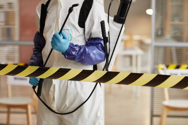 Professional Sewage Cleanup technician working in Huron, OH